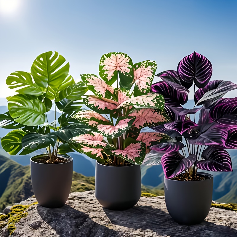 3Pcs Mixed Artificial Plant Se - Fiddle Leaf Fig review and price