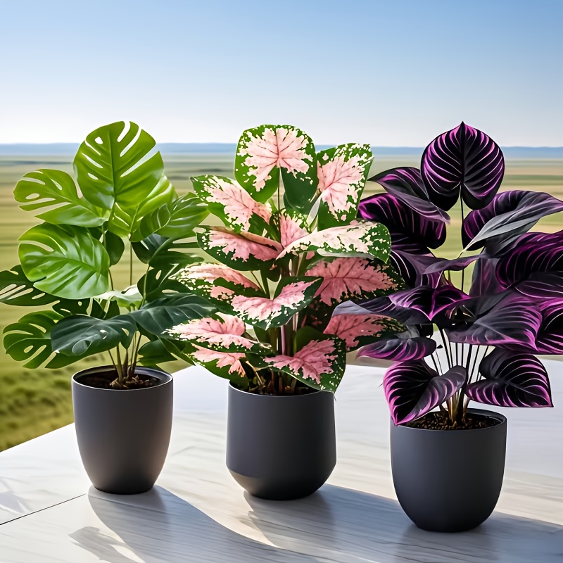 3Pcs Mixed Artificial Plant Se - Fiddle Leaf Fig review and price